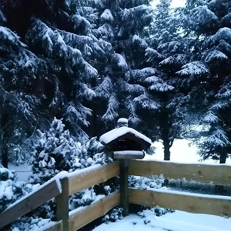 Allzunah בית נופש