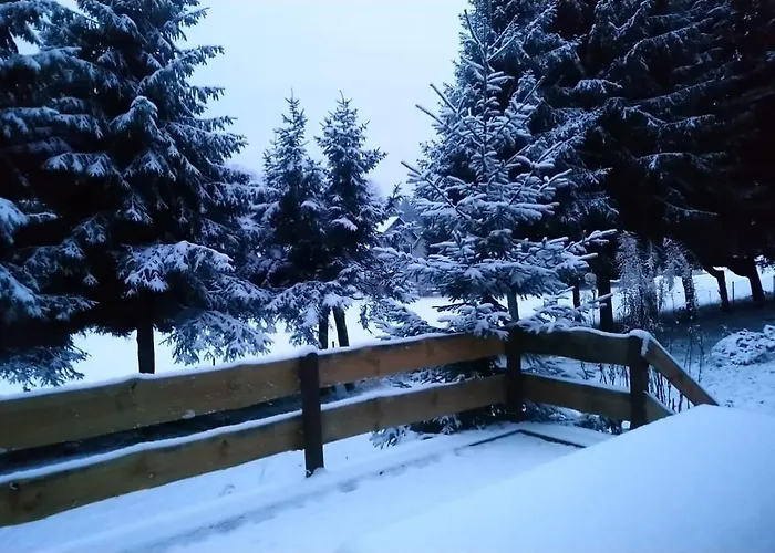 Allzunah בית נופש אילמנאו