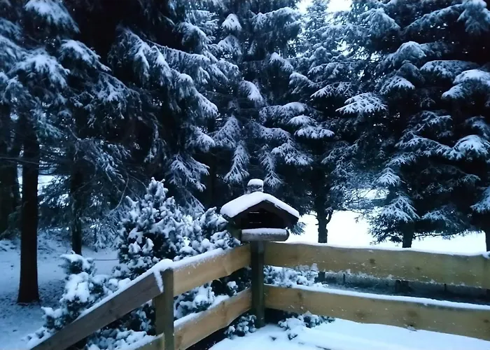 Allzunah בית נופש